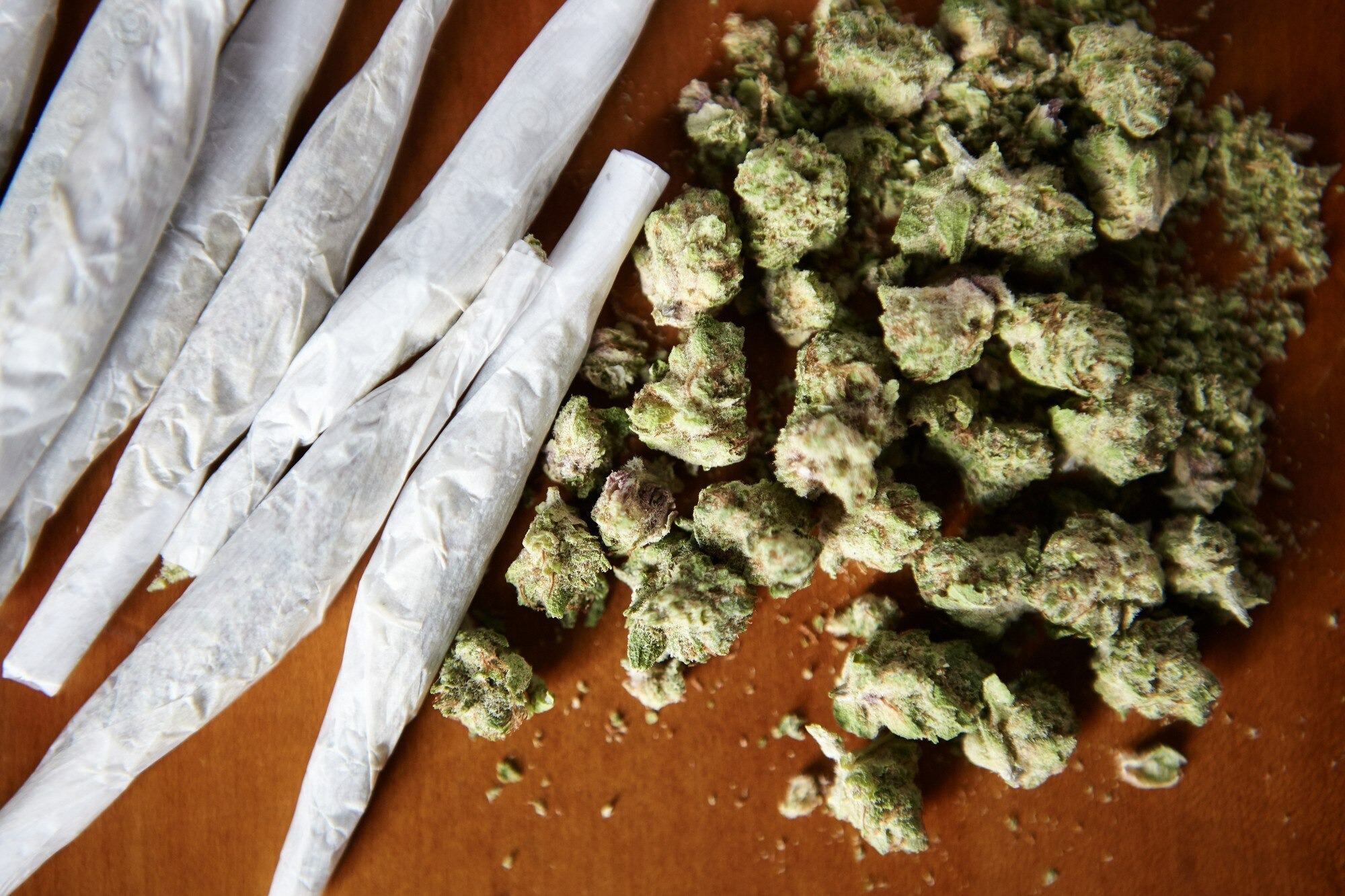 Marijuana addiction, showing rolled joints and cannabis buds, as part of addiction recovery and therapy.